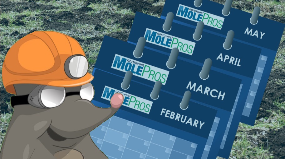Mole control tactics change monthly!