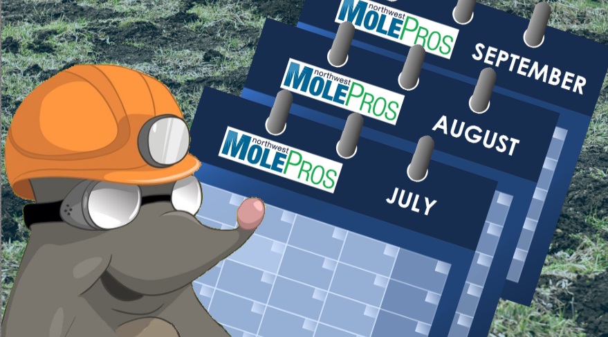 eliminating moles in july, august, and september.
