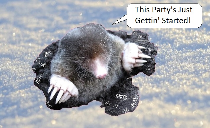 Do Moles Hibernate for the Winter?