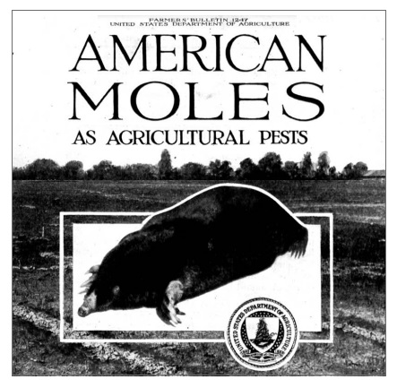 #mole #nwmolepros #northwestmolepros